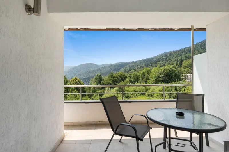 Apartament cu vedere la munte, Sinaia, Prahova, fotografia 1